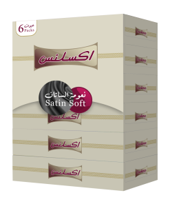 إكسلنس برستيج مناديل وجه علب - 80 منديل مزدوج - 6 عبوات